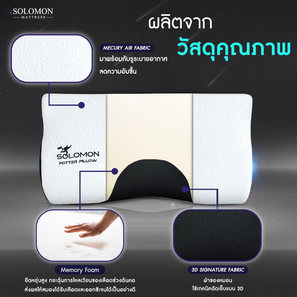 หมอนเมมโมรี่โฟม SOLOMON รุ่น POTTER PILLOW_2